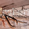 Engel Aloisius 